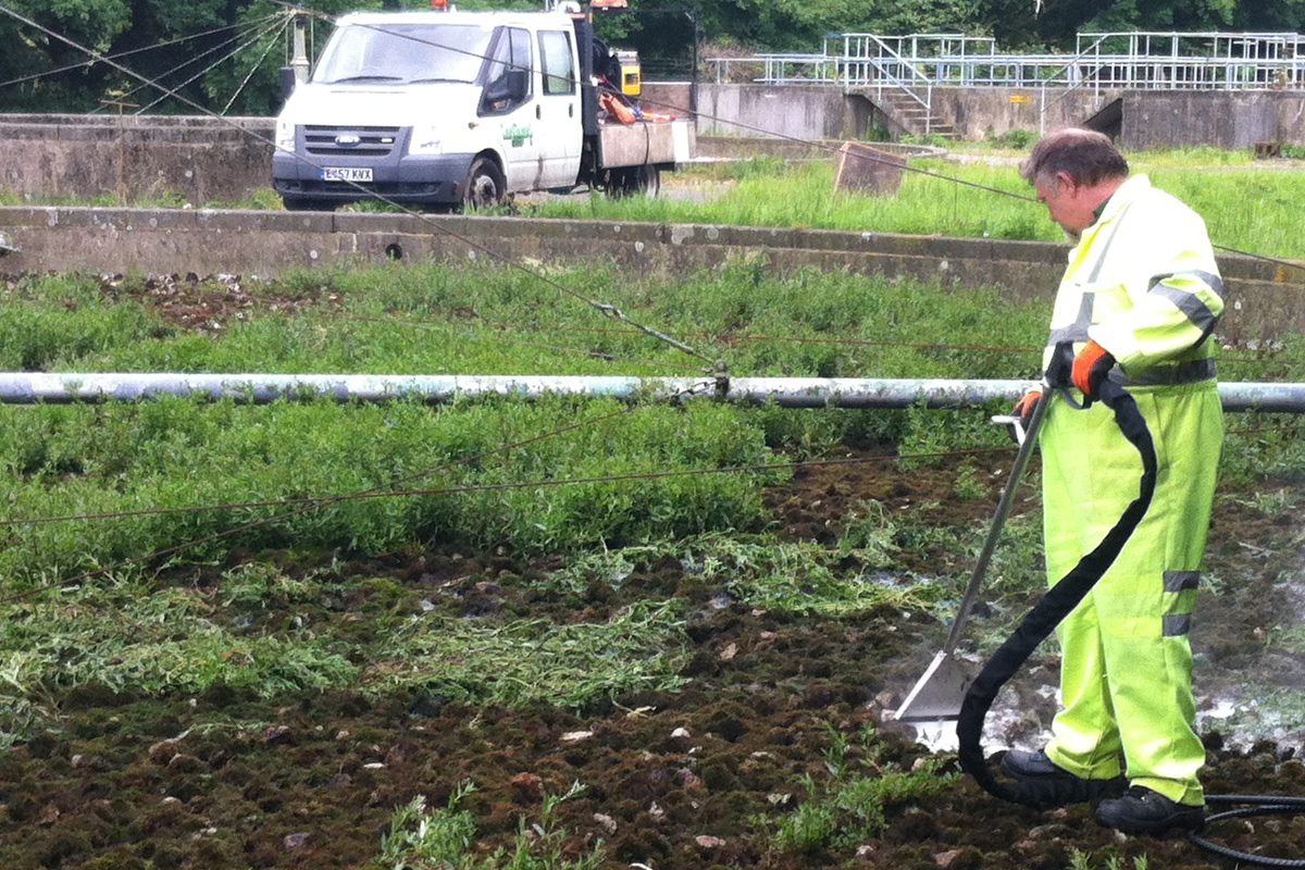 what-weed-control-is-best-for-water-filtration-beds-weedingtech